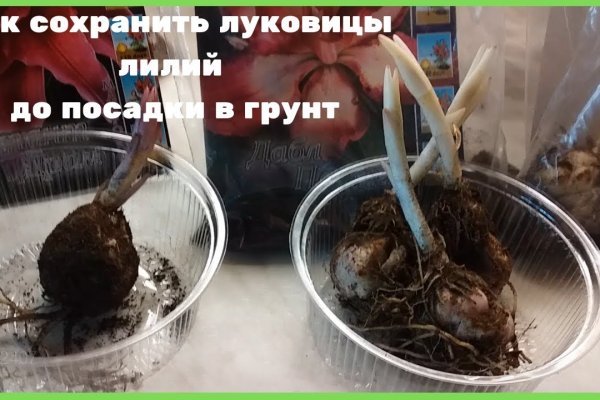 Не могу зайти на кракен